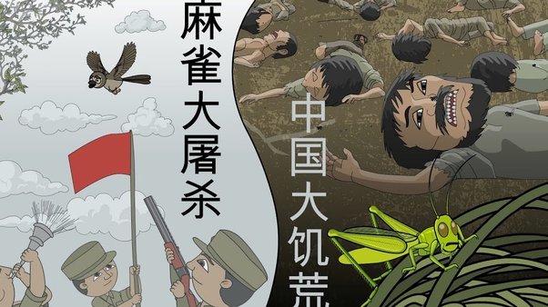 董路巴西行暴露青训运动风险