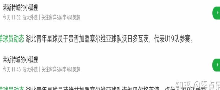 坚决支持留洋但是得去职业梯队！