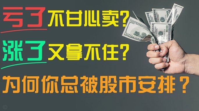 卡多索加盟，非常失望，钱多人傻，性价比低。
