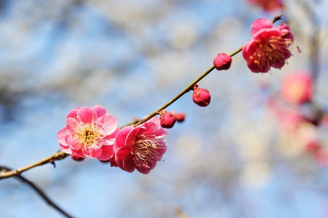 梅伦多：苦练状态，掌控节奏